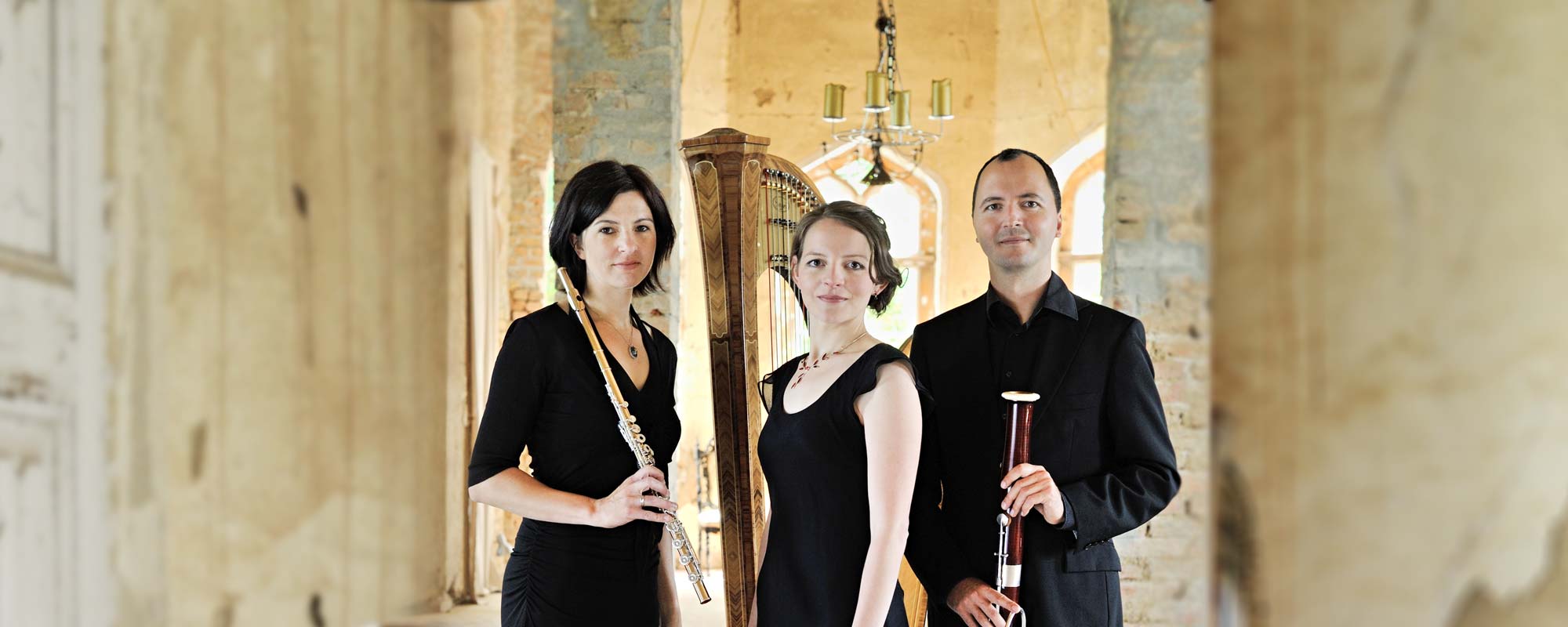 Trio Klangstifter - Sophia Warczak Harfe
